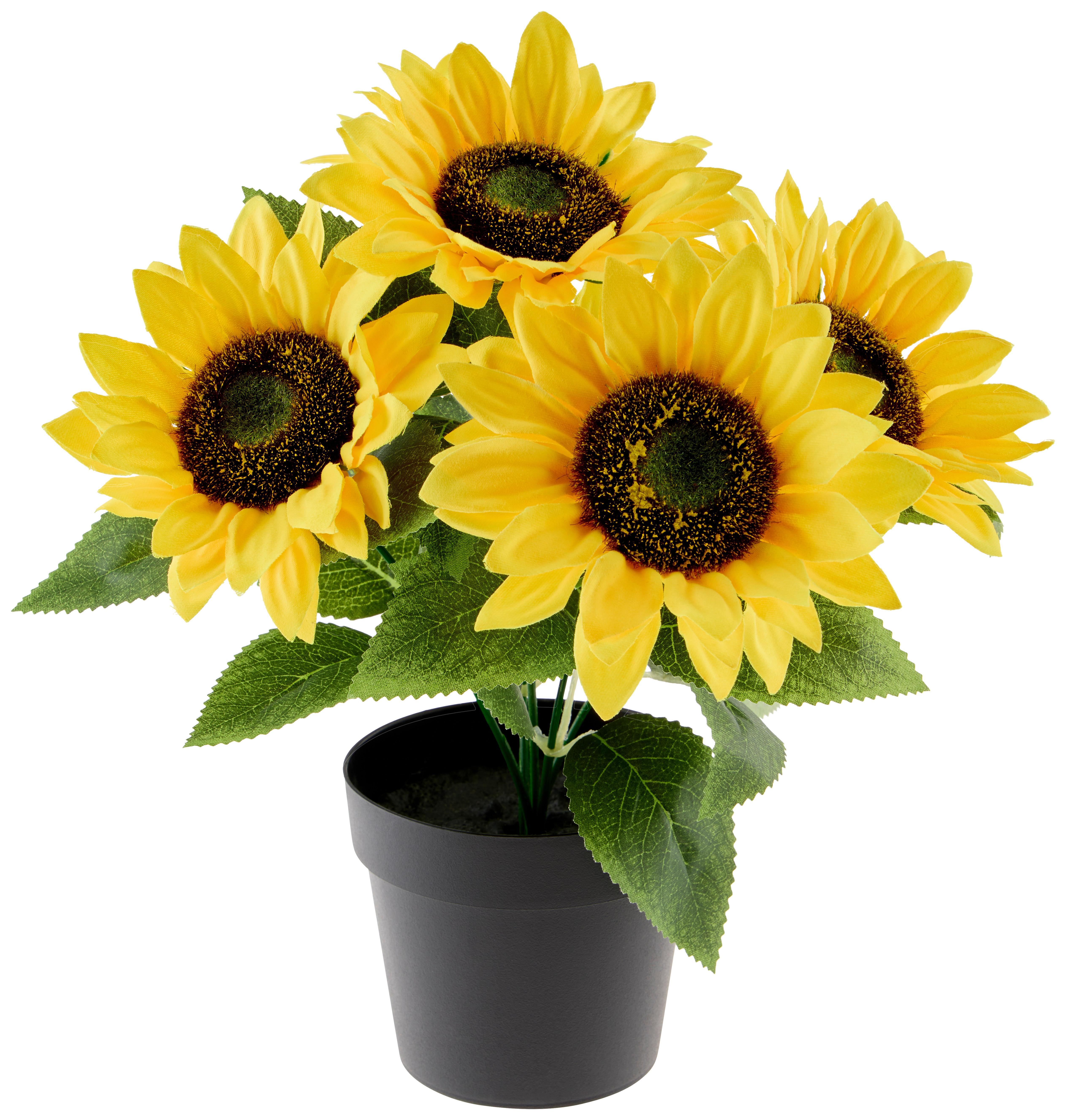 Dekor Virág Jasmina - sárga/fekete, Konventionell, műanyag (15/26cm) - Luca Bessoni