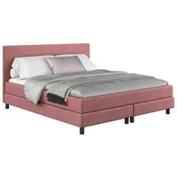 Boxbett mit Topper Andorra 160x200 cm Rosa - Schwarz/Rosa, MODERN, Holzwerkstoff/Textil (160/200cm) - MID.YOU