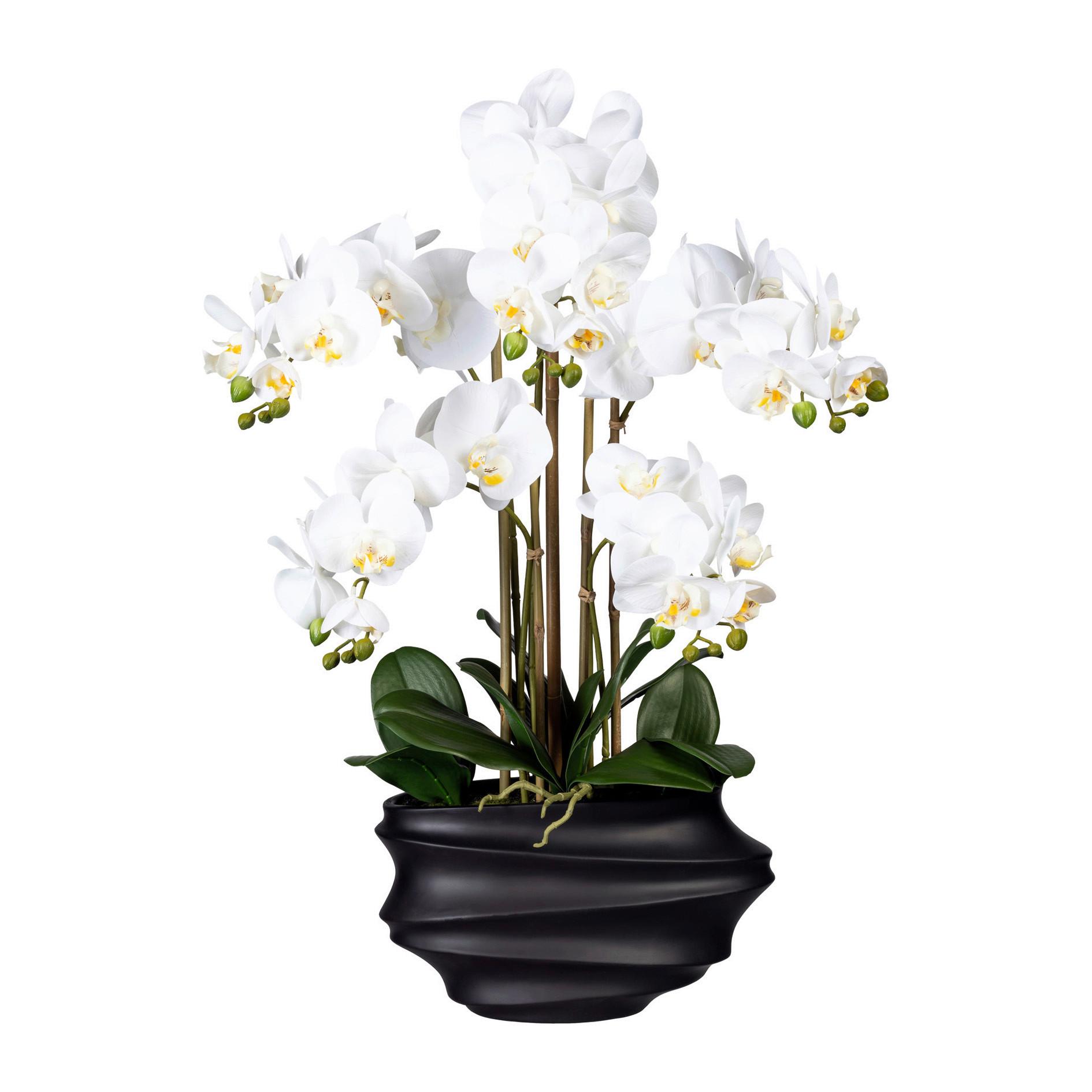 Kunstpflanze Orchideee Weiß H: 75 Cm Mit Topf - Schwarz/Weiß, Trend, Kunststoff (75cm) - P & B