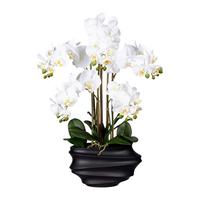 Kunstpflanze Orchideee Weiß H: 75 Cm Mit Topf - Schwarz/Weiß, Trend, Kunststoff (75cm) - P & B