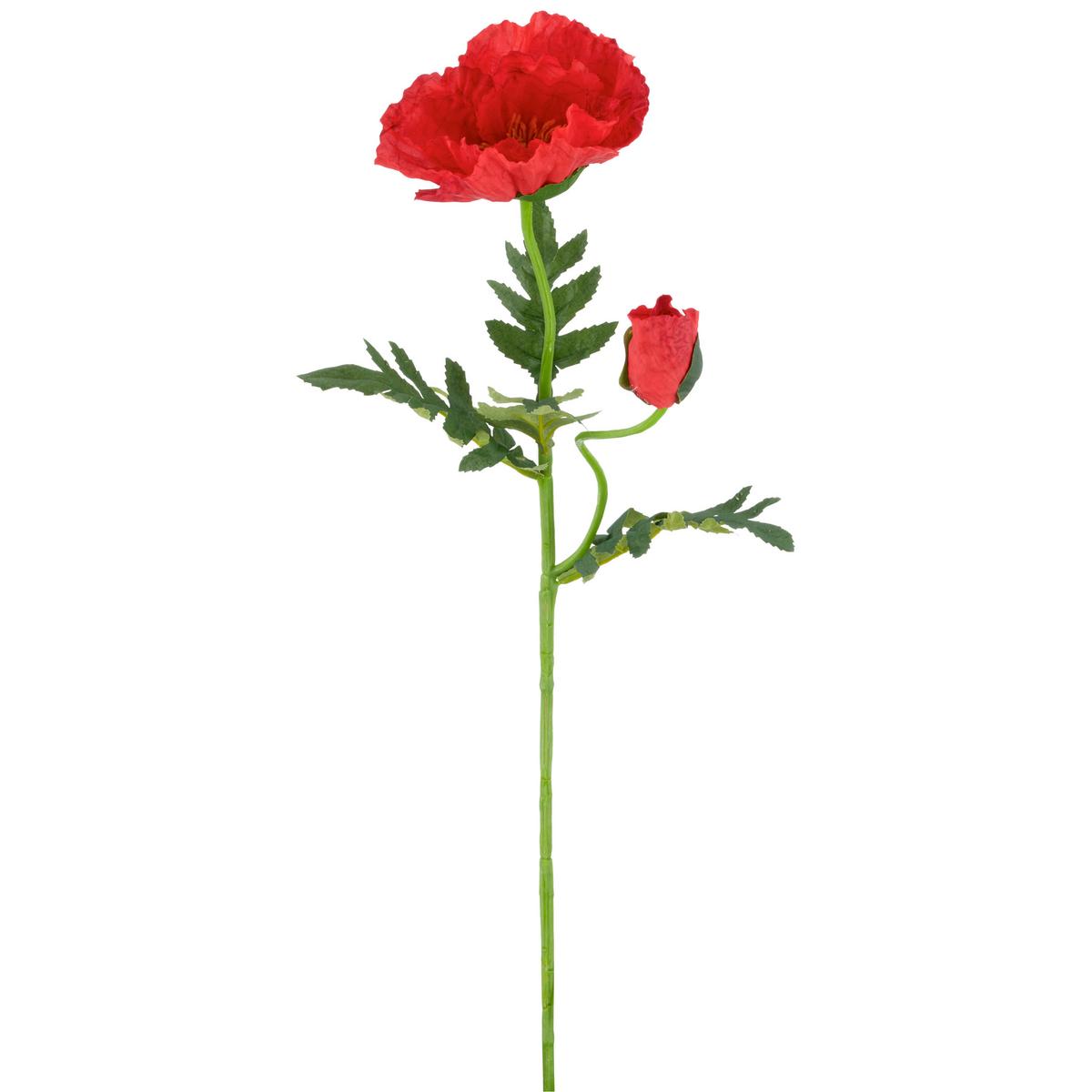 Mohn Mohn - Rot/Grün, Basics, Kunststoff/Textil (69cm)