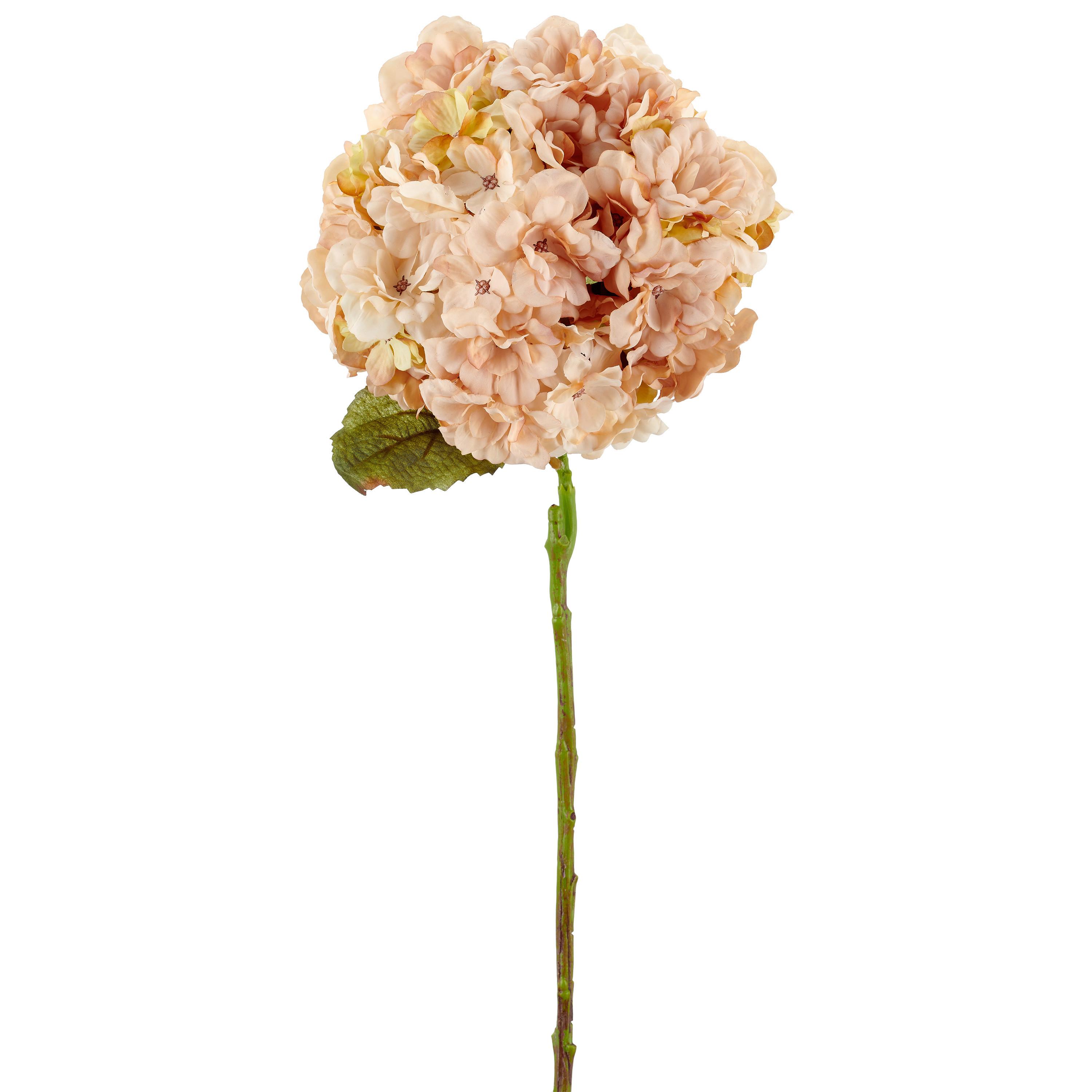 Umělá rostlina HORTENSIE I -PAZ- - růžová/hnědá, Basics, plast (64cm) - Mömax