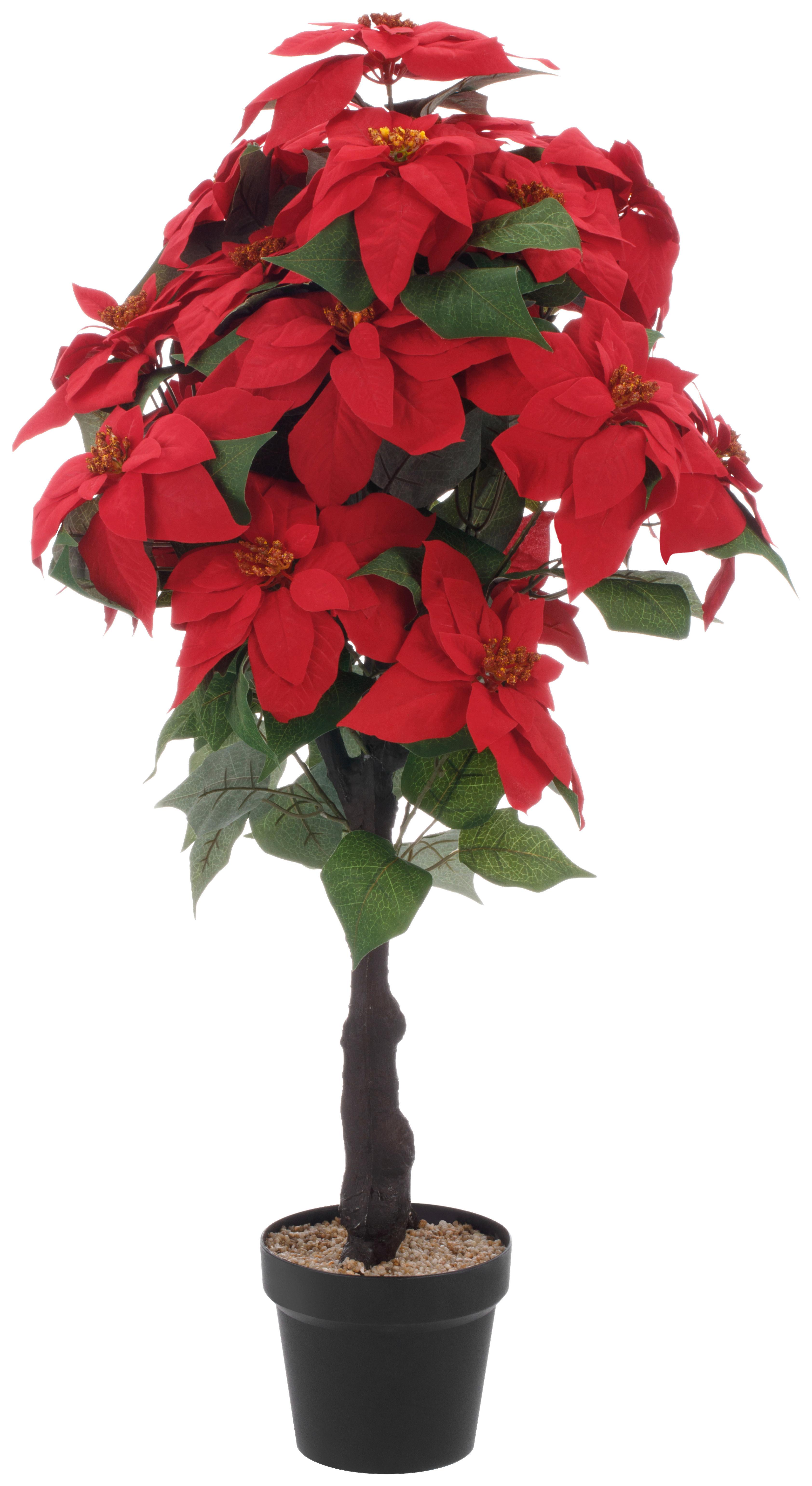 WEIHNACHTSSTERN LUCIA -PAZ- - Rot/Schwarz, KONVENTIONELL, Kunststoff/Textil (40/100cm) - Luca Bessoni