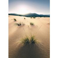 Fototapete Vivid Dunes - Braun, Trend (200/280cm)