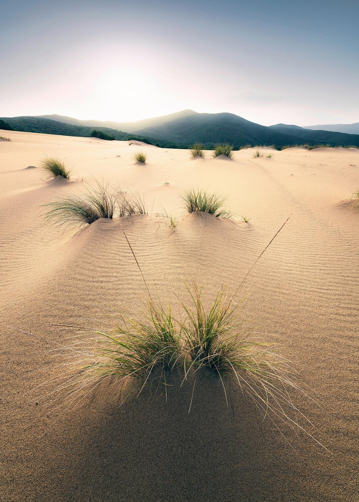 Fototapete Vivid Dunes - Braun, Trend (200/280cm)