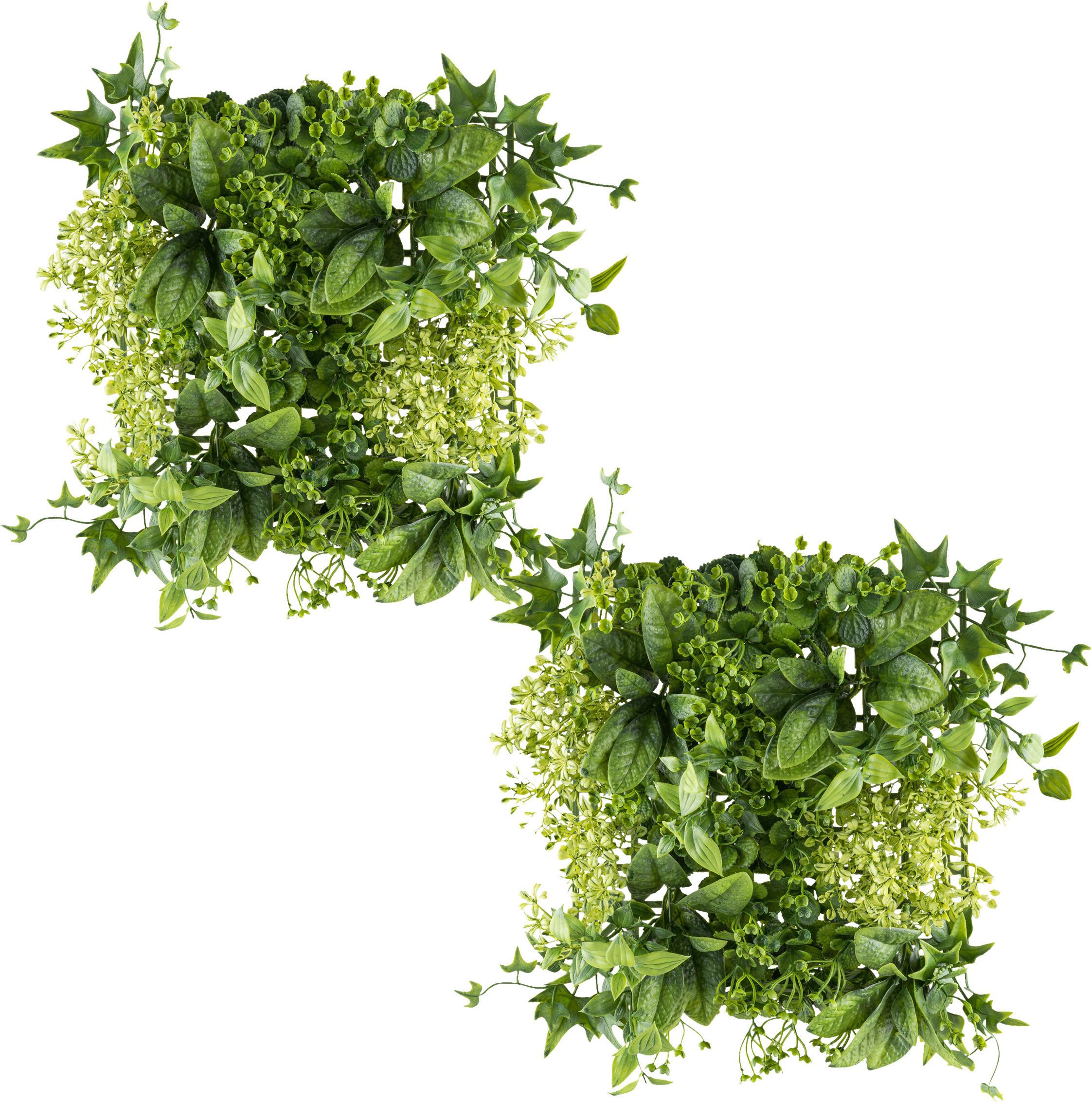 Kunstpflanze Grün, 25 cm - Grün, Design, Kunststoff (25cm) - P & B