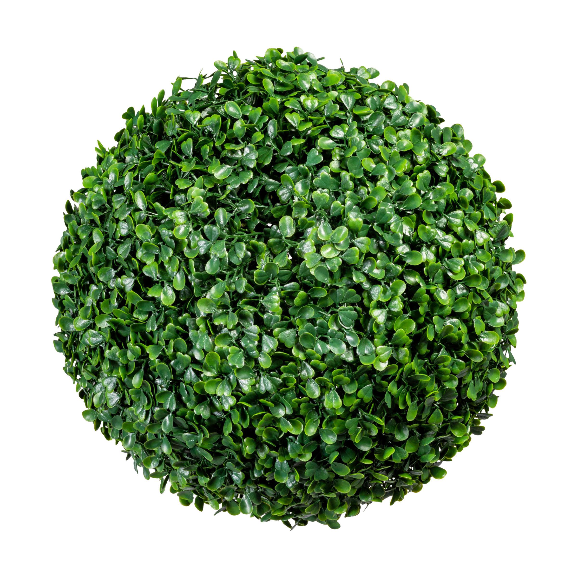 Kunstpflanze Grün, 28 cm - Grün, Design, Kunststoff (28cm)