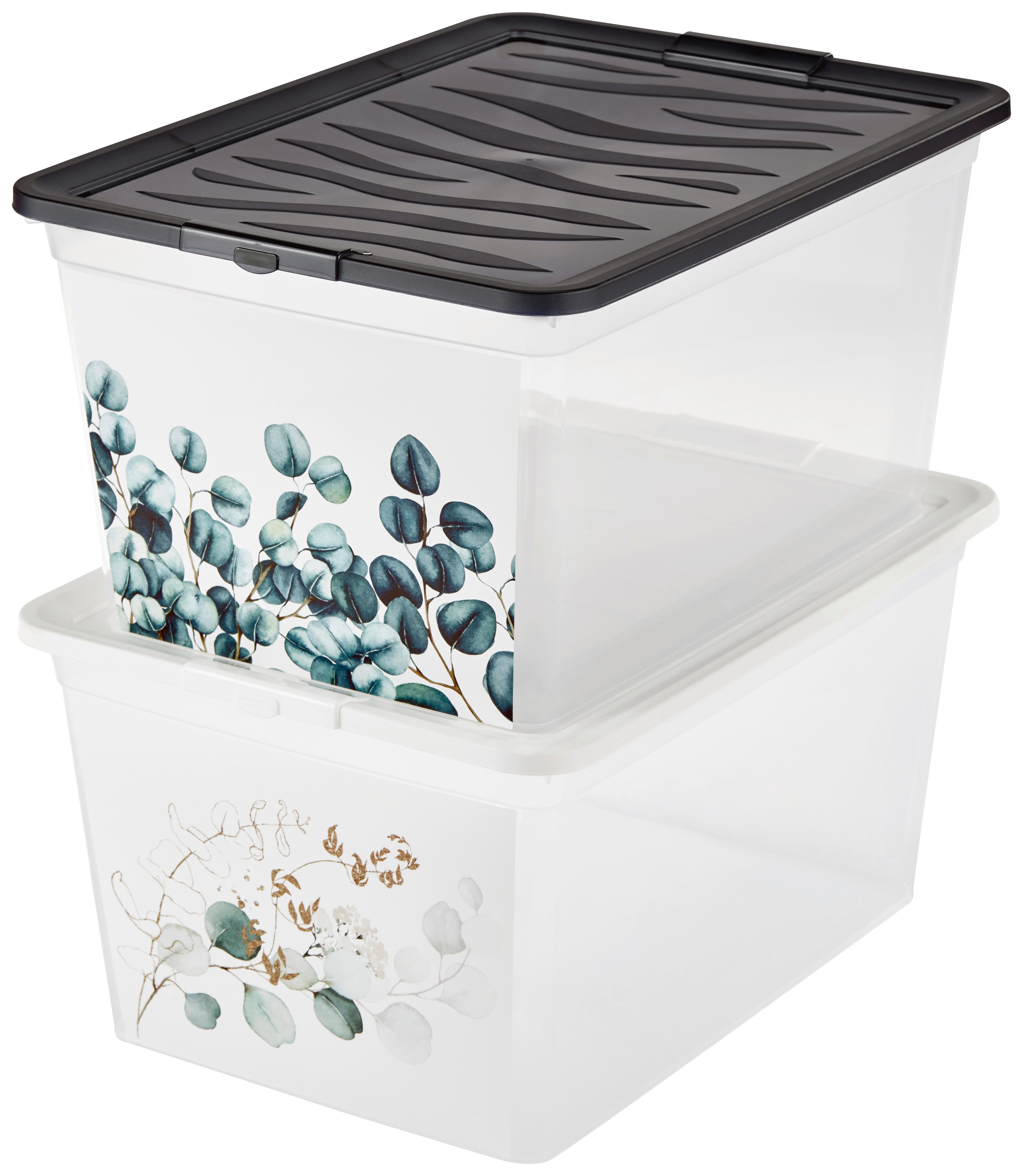 Aufbewahrungsbox Eukalyptus mit Deckel 38,4x19,9x28,3 cm - Klar/Weiß, KONVENTIONELL, Kunststoff (38,4/19,9/28,3cm)