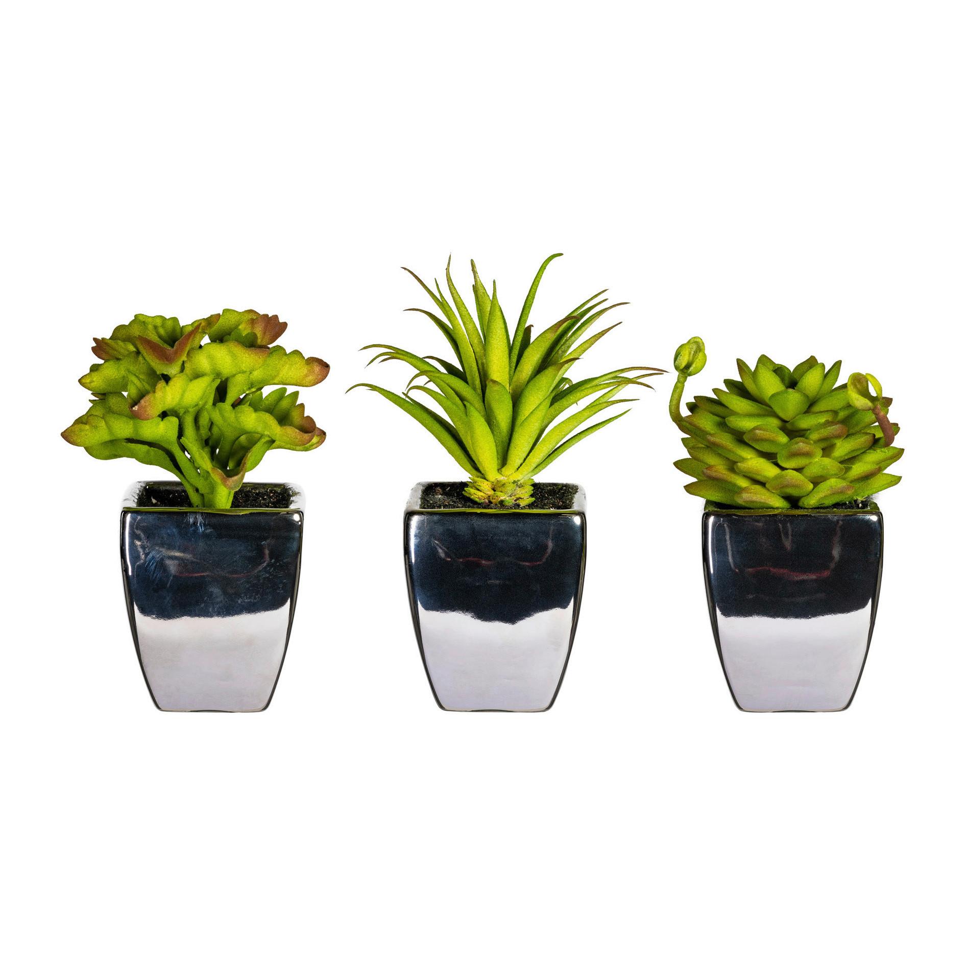 Kunstpflanze Sukkulente H: 13 cm - Grau/Grün, Basics, Keramik/Kunststoff (13cm) - P & B