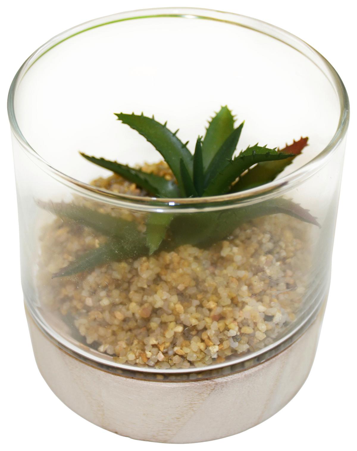 Umelá rastlina Sukulent, 10/10cm - zelená, Basics, drevo/plast (10/10cm) - Modern Living