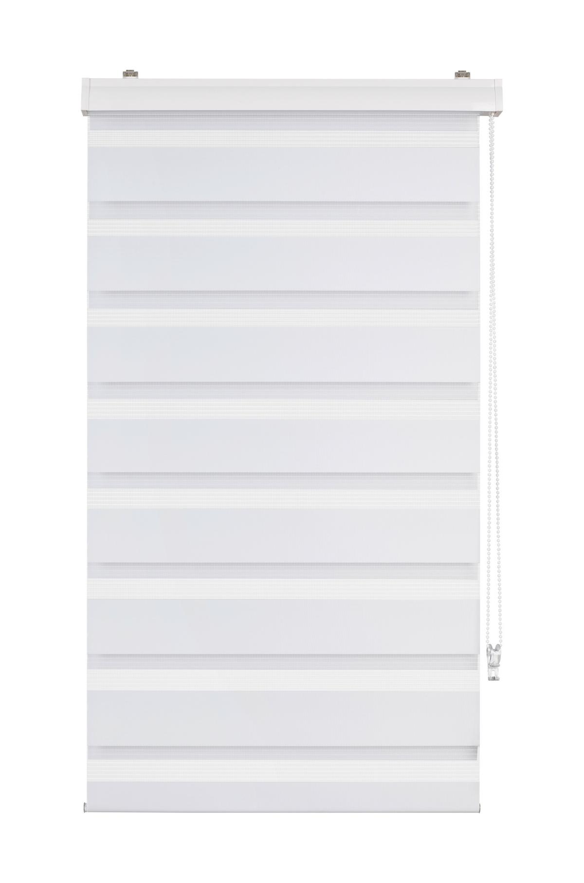 DUÁLNÍ ROLETA Thomas, 60x160cm, bílá - bílá, textil/plast (60/160cm) - Premium Living