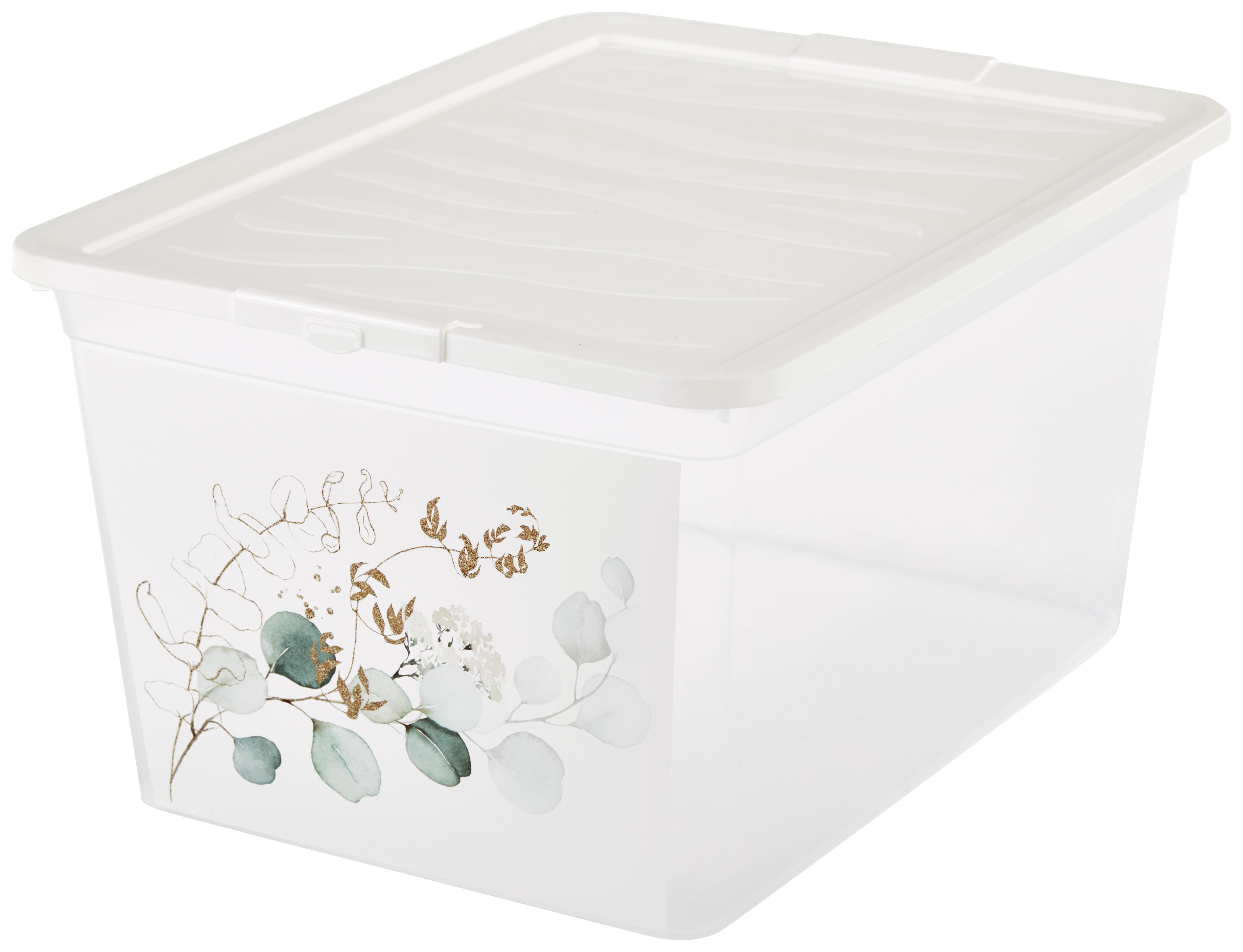 Transparente Aufbewahrungsbox aus Kunststoff