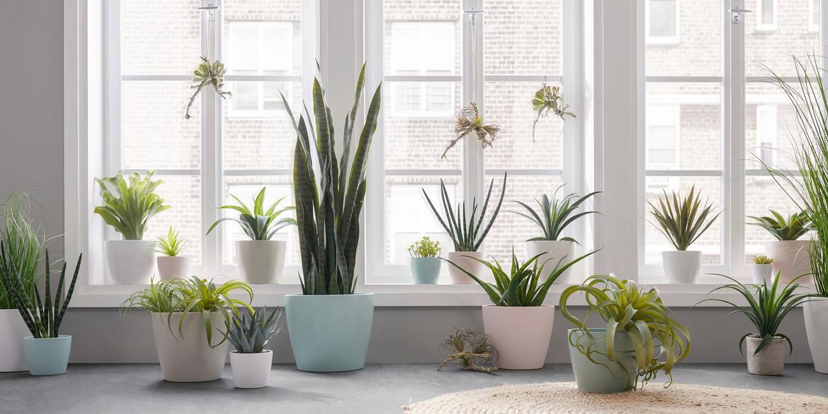 Obal na kvetináč Luisa - čierna/sivá, Modern, keramika (12/10cm) - Based