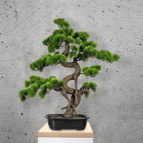 Kunstpflanze Bonsai Grün L: 65 cm mit Topf - Schwarz/Braun, Basics, Kunststoff (50/65cm) - P & B