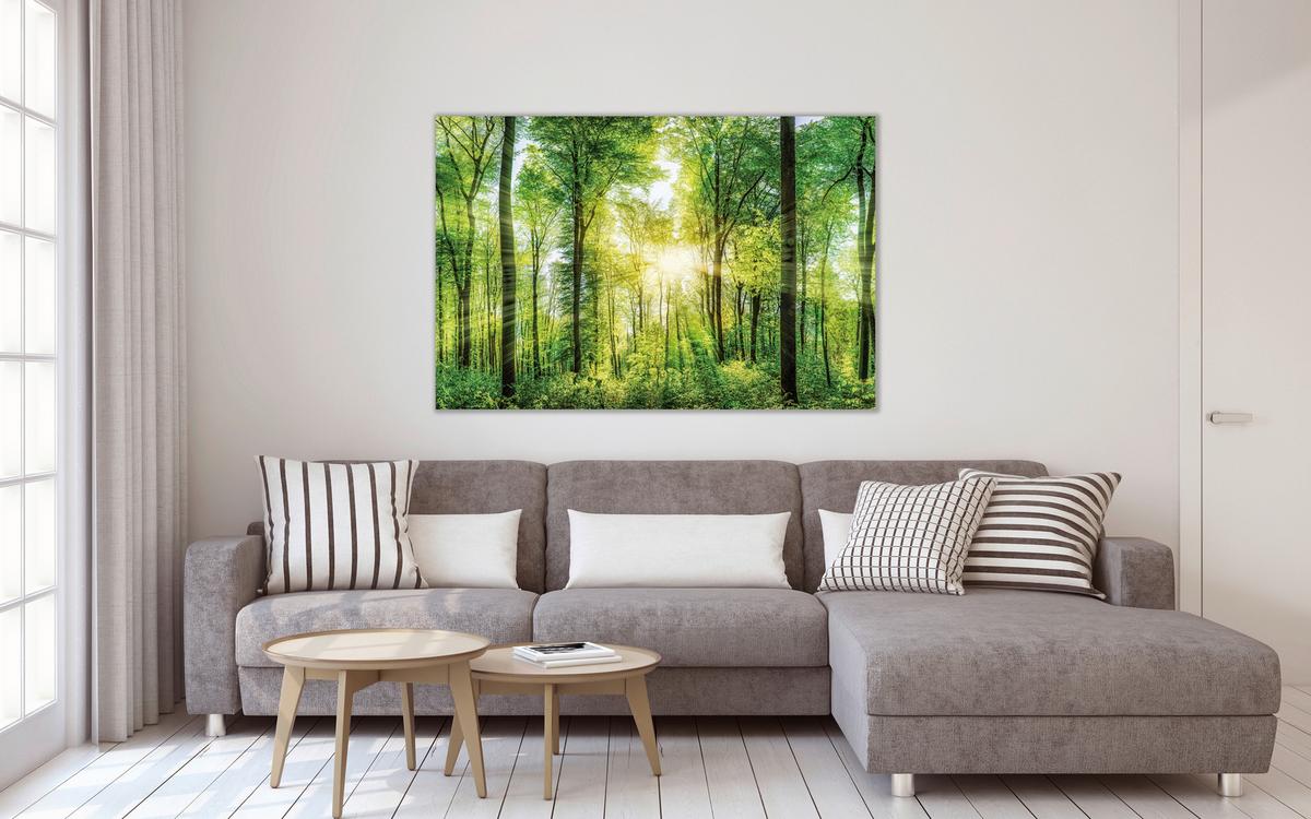 Obraz na plátne DESTENY - lesná zelená, Basics, drevo (150 cm/100 cm/3 cmcm) - Mömax