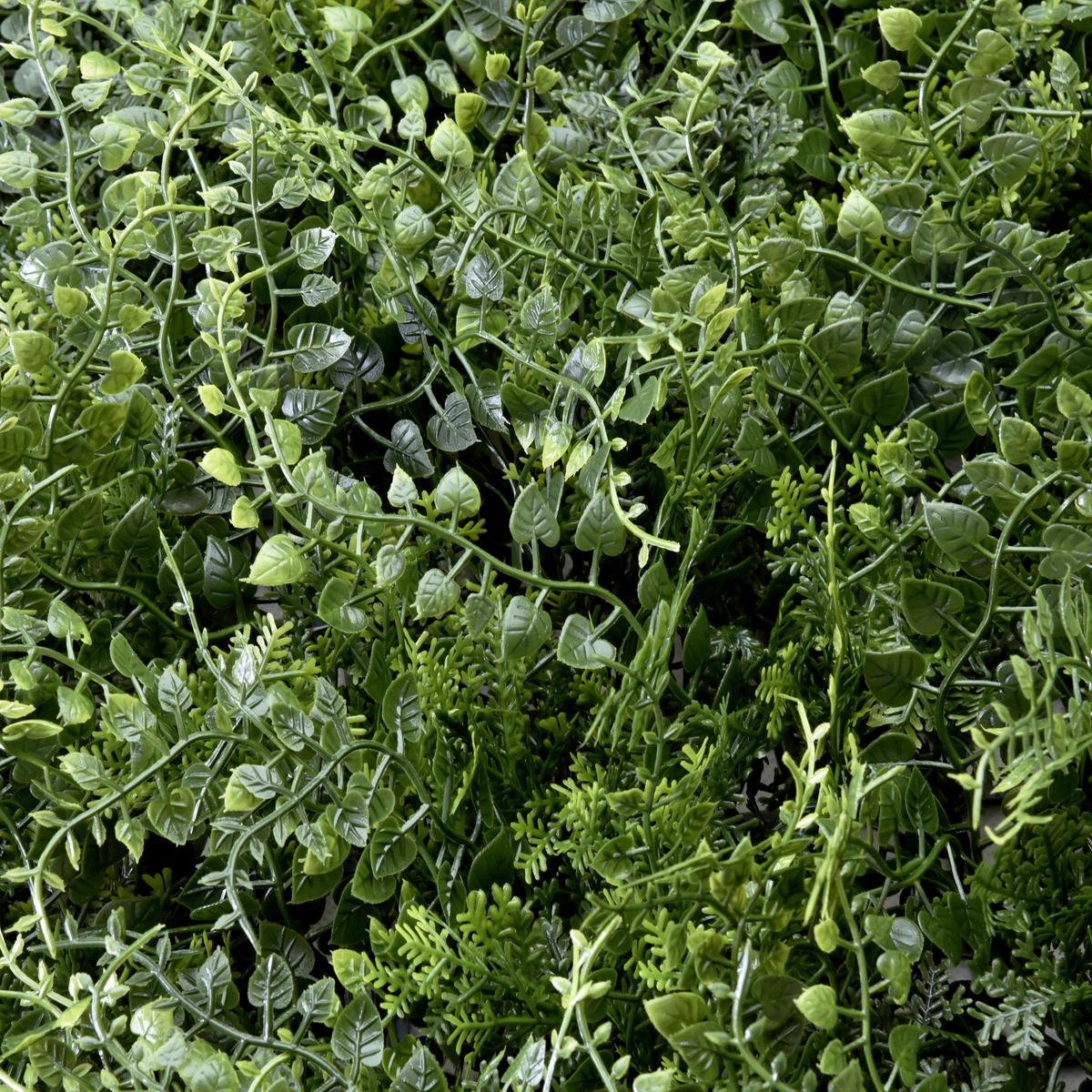 KUNSTPFLANZE Leafluxe Grün B: 55cm - Grün, MODERN, Kunststoff (55/55/6cm) - MID.YOU