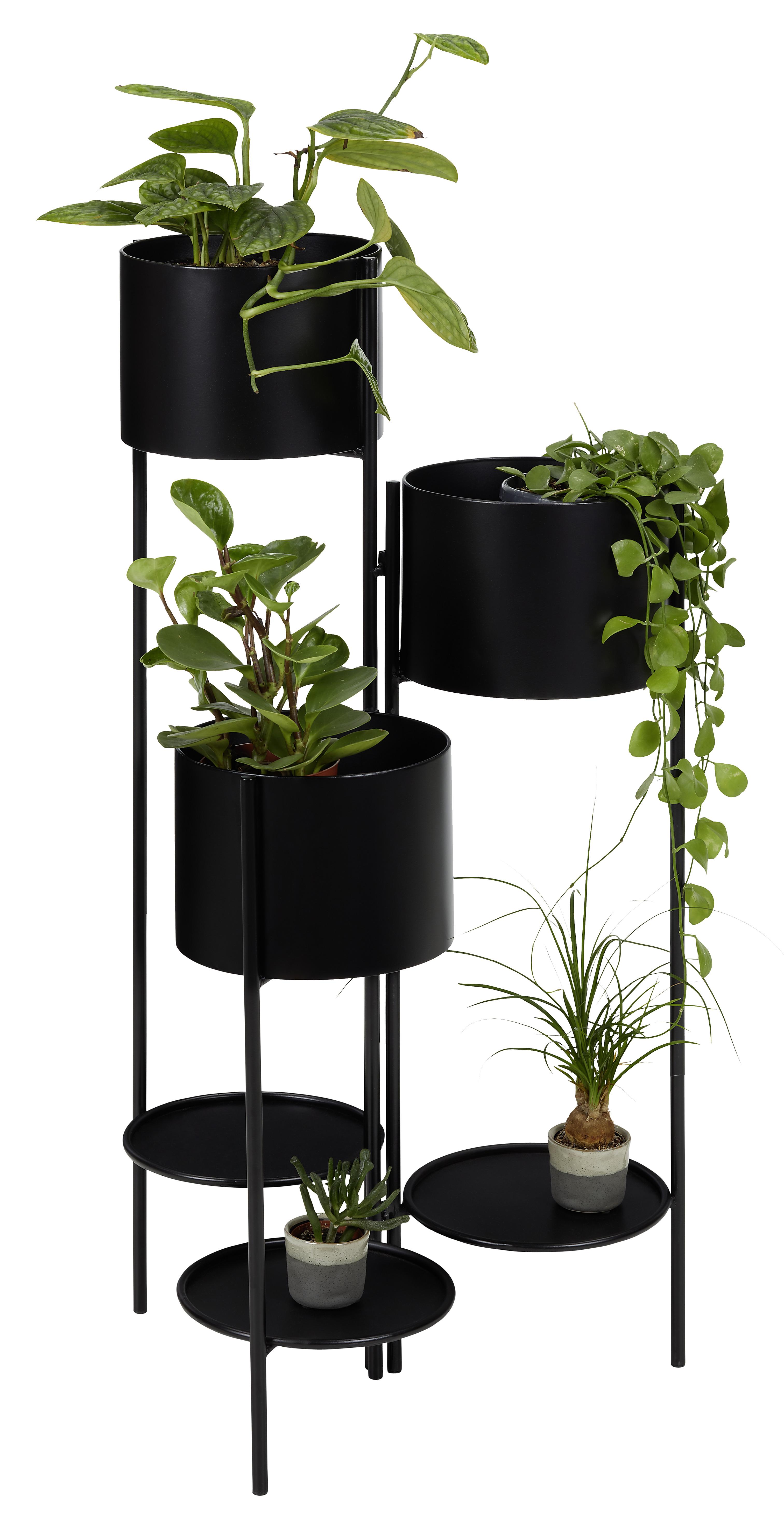 Obal Na Květináč Olio, V: 99,5cm - černá, Moderní, kov (47/45,5/99,5cm) - Modern Living
