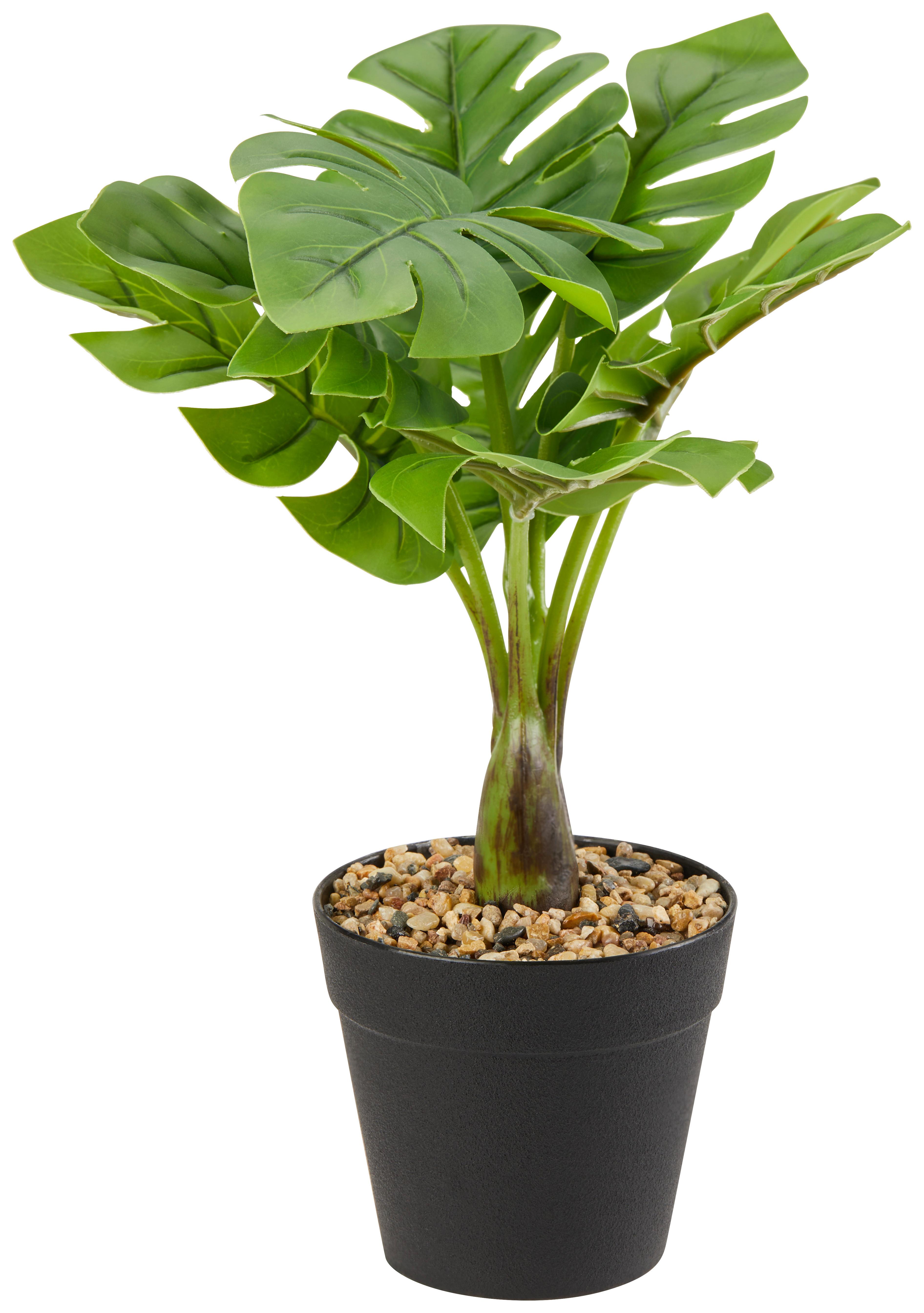 Kunstpflanzen Philodendron Grün/Schwarz L: 30 cm mit Topf - Schwarz/Grün, KONVENTIONELL, Kunststoff (30cm)