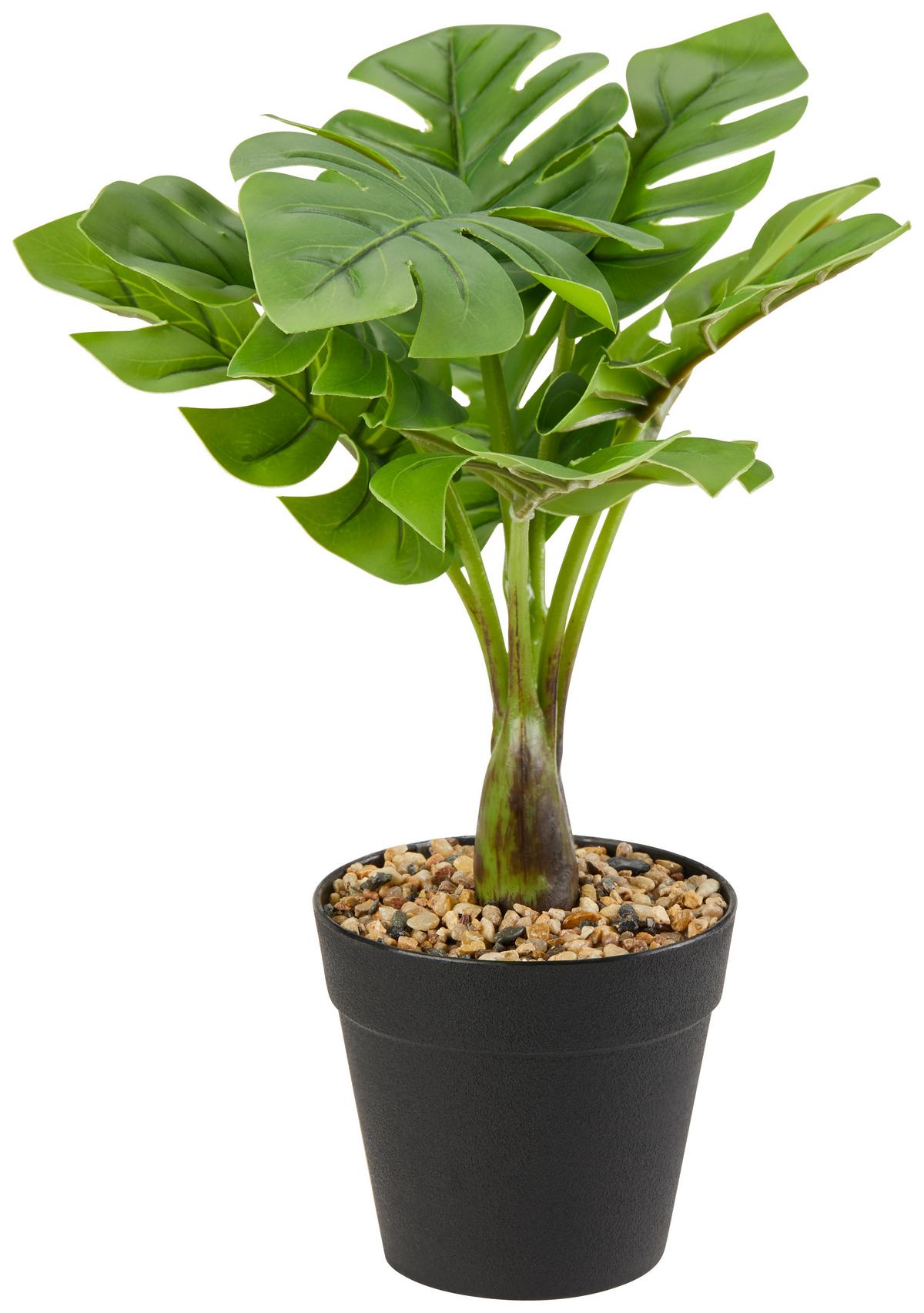 Kunstpflanzen Philodendron Grün/schwarz L: 30 Cm Mit Topf - Schwarz/Grün, KONVENTIONELL, Kunststoff (30cm)