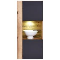 ZÁVĚSNÁ VITRÍNA HENRY - Moderní, kompozitní dřevo/plast (50/115/35cm)