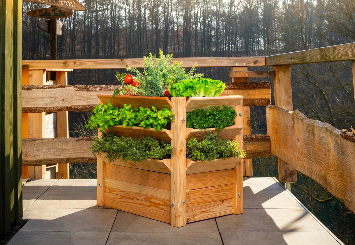 Hochbeet Echtholz Lärche 90x73x65 cm Lärchefarben - Lärchefarben, Basics, Holz (90/73/65cm)