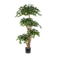 Kunstpflanze Ficus Benjamina H: 170 cm - Schwarz/Braun, Basics, Kunststoff (170cm) - P & B