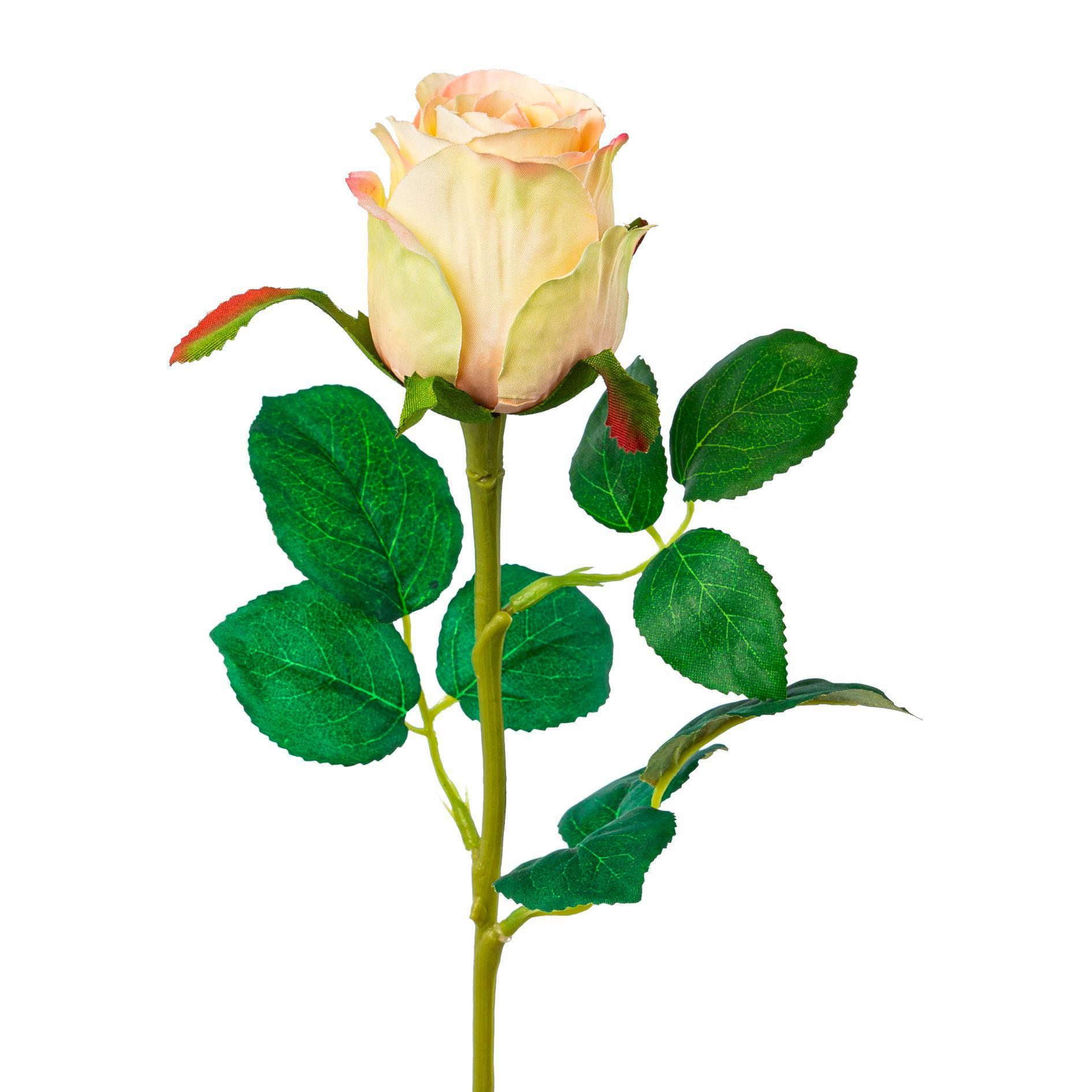 Kunstpflanze Rose Creme/ Grün L: 51 cm Carima - Creme/Grün, KONVENTIONELL, Kunststoff (51cm)