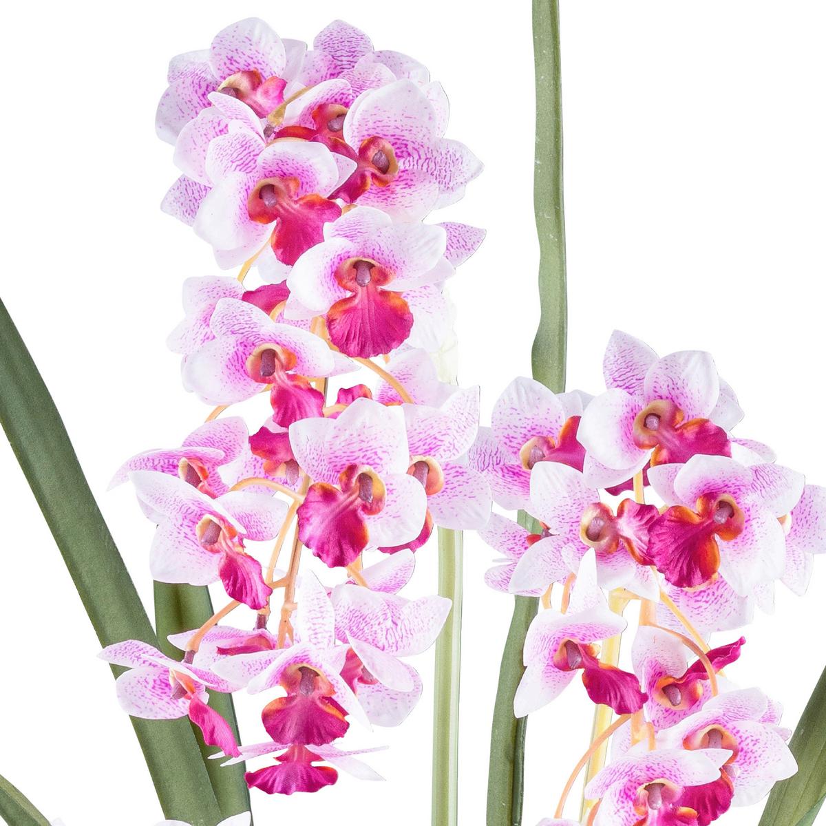 Kunstpfalnze Orchideen Rosa/Weiß, 80 cm - Schwarz/Rosa, Design, Kunststoff (80cm) - P & B
