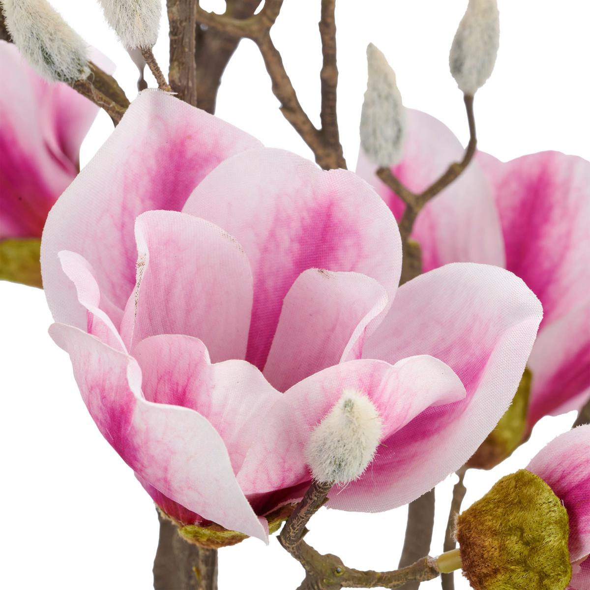 Umelá magnólia Výška 65 cm - hnedá/ružová, Basics, kov/textil (65cm) - Mömax