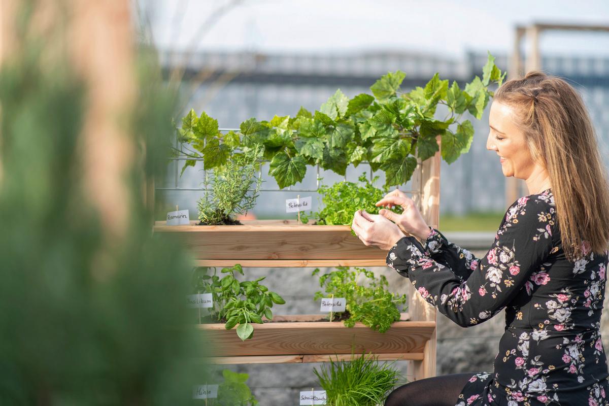 GARTENREGAL KRÄUTERREGAL L - Lärchefarben, Basics, Holz (80/95/50cm)