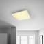Led Stropná Lampa Cornelius Meo - biela, Moderný, plast (59,5/59,5/8cm) - Premium Living Led Stropná Lampa Cornelius Meo - biela, Moderný, plast (59,5/59,5/8cm) - Premium Living