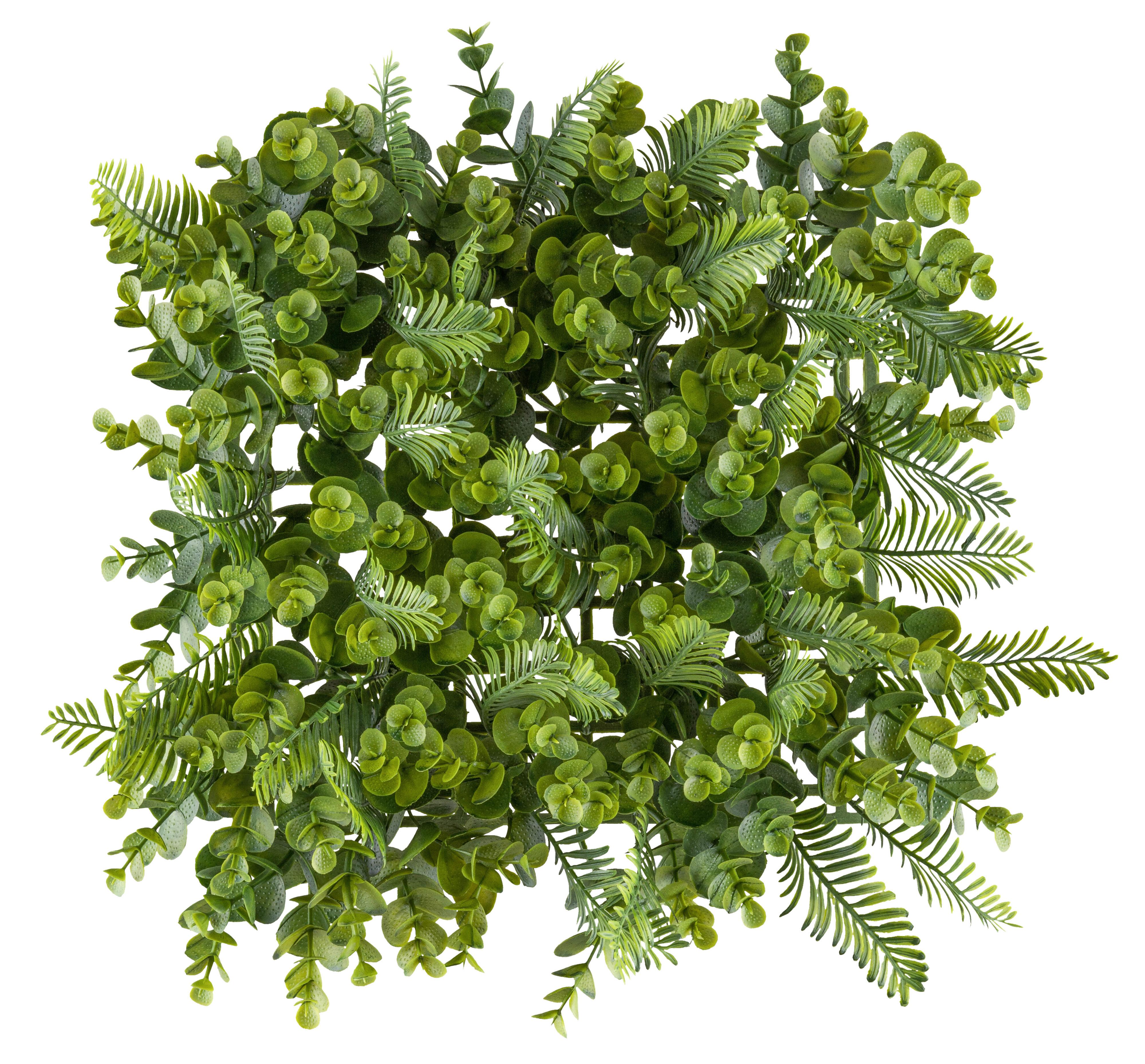 Umělá rostlina WANDMATTE, š/v: 25x25cm - zelená, Konvenční, plast (25/25cm) - Mömax