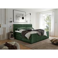 Boxspringbett Bolivia 6 - Schwarz/Olivgrün, MODERN, Holzwerkstoff/Textil (180/200cm) - MID.YOU