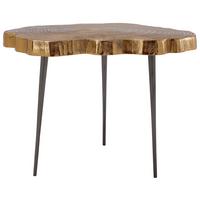 PRÍRUČNÝ STOLÍK WOOD ART 225 GOLD - čierna/zlatá, Design, kov (50/65/56cm) - MID.YOU