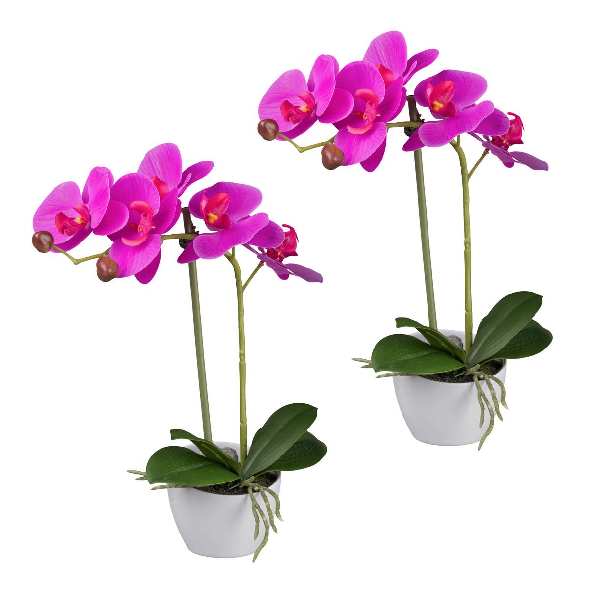 Kunstpflanze Orchideen Pink, Topf: Weiß, H: 33 cm - Pink/Weiß, Design, Kunststoff (33cm) - P & B