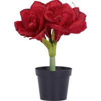 AMARYLLIS Amaryllis - Braun/Grün, KONVENTIONELL, Kunststoff (32cm)