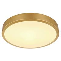 LED-Deckenleuchte 12381-15 - Messingfarben/Opal, KONVENTIONELL, Kunststoff/Metall (25/3cm) - Globo