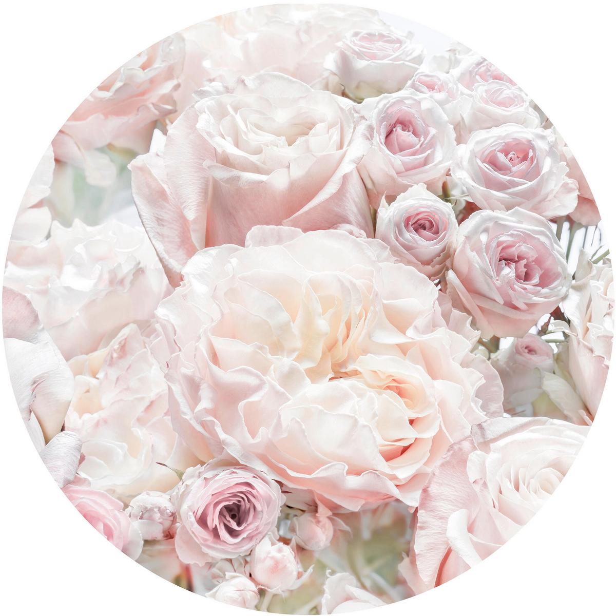 Fototapete D1-072 Pink And Cream Roses - Multicolor, Trend (125cm)