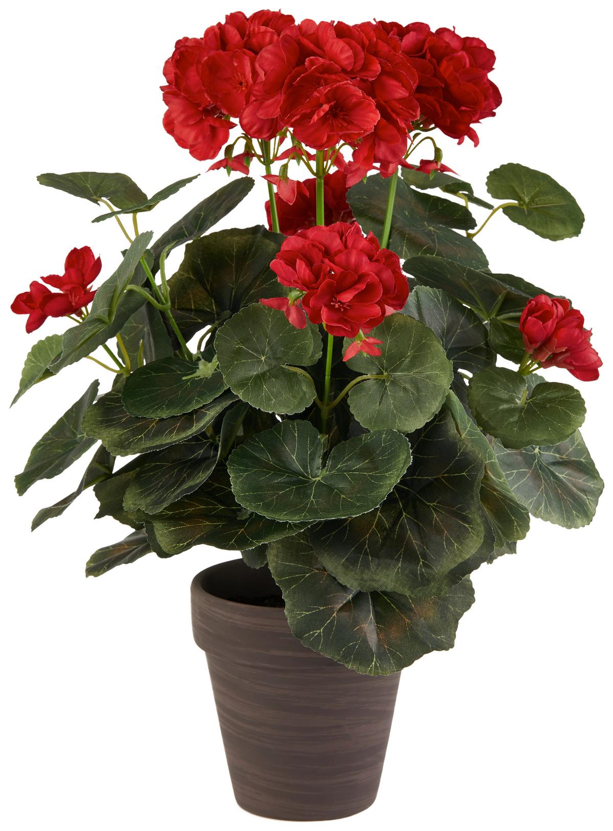 Művirág Gisi - krémszínű/világos rózsaszín, Modern, műanyag/kerámia (16/36cm) - Luca Bessoni