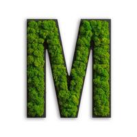 Moosbild Grün B: 25 cm - Schwarz/Grün, Basics, Naturmaterialien/Holz (25/21/4cm)