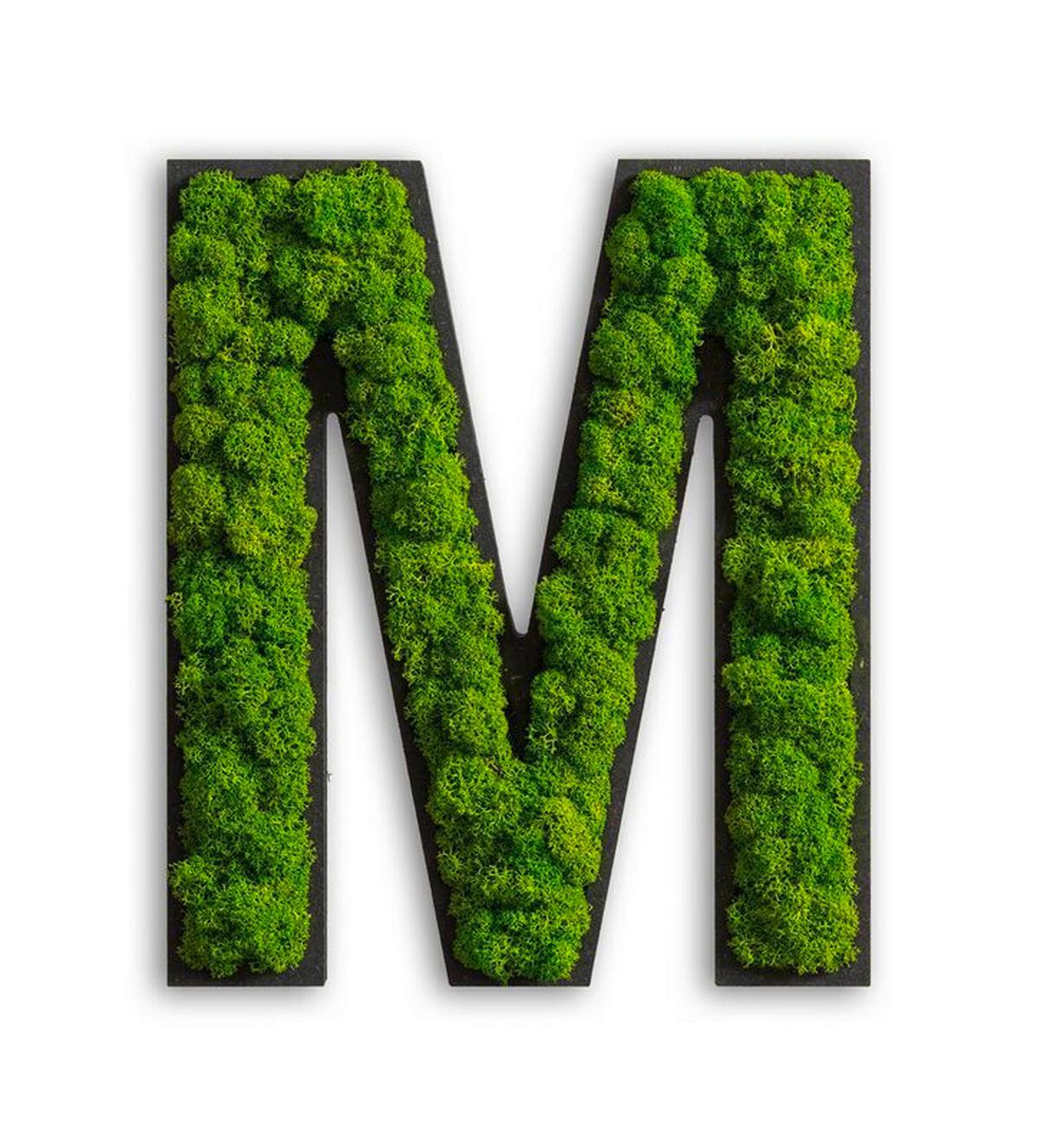 Moosbild Grün B: 25 cm - Schwarz/Grün, Basics, Naturmaterialien/Holz (25/21/4cm)