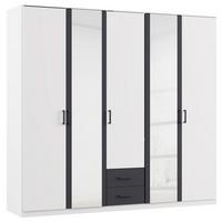 Drehtürenschrank 226cm Despina Alpinweiß Dekor - Weiß/Grau, KONVENTIONELL, Holzwerkstoff (226/210/54cm)