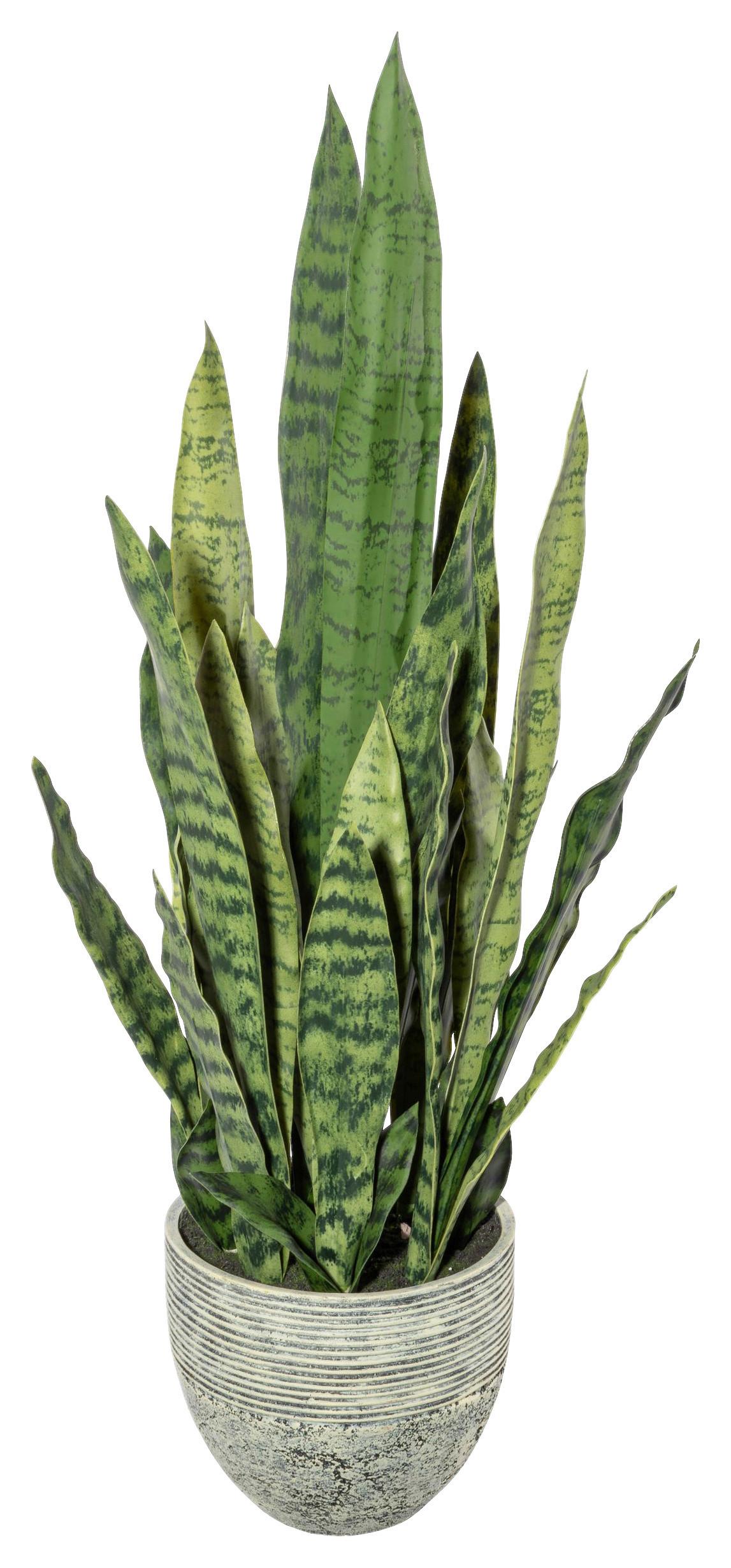 Kunstpflanze Sukkulenten Gelb/Grün/Grau, 70 cm - Gelb/Grau, Design, Kunststoff (70cm) - P & B