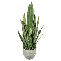 Kunstpflanze Sukkulenten Gelb/Grün/Grau, 70 cm - Gelb/Grau, Design, Kunststoff (70cm) - P & B