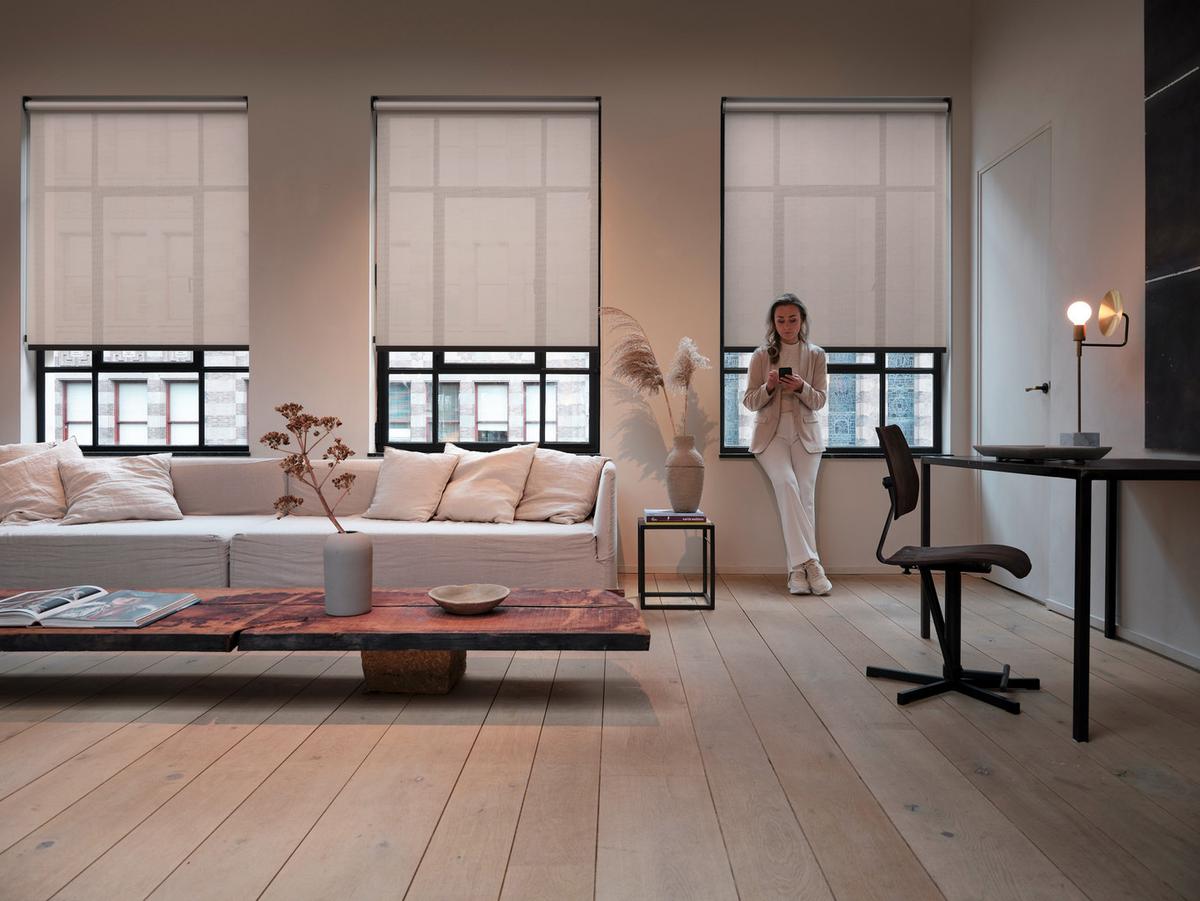 Elektromotor für Rollo Weiß - Weiß, Basics, Kunststoff/Metall (6/40,5cm)