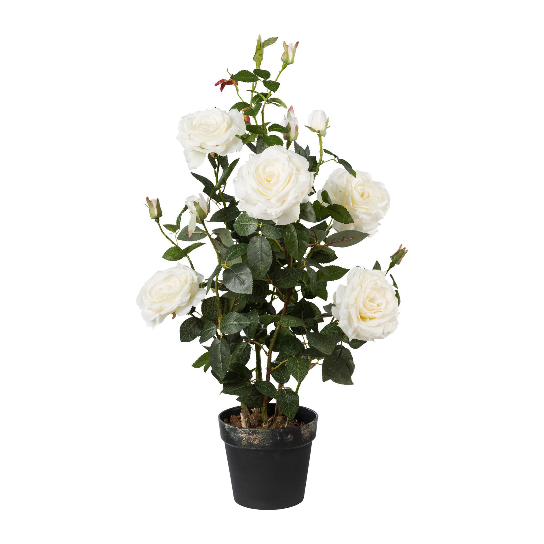 Kunstpflanze Rosenbusch Weiß H: 90 cm mit Topf - Weiß/Grün, Trend, Kunststoff (90cm) - P & B