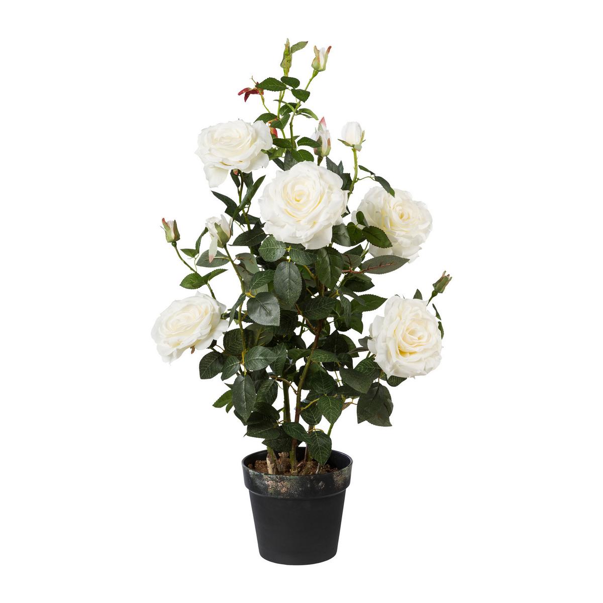 Kunstpflanze Rosenbusch Weiß H: 90 cm mit Topf - Weiß/Grün, Trend, Kunststoff (90cm) - P & B