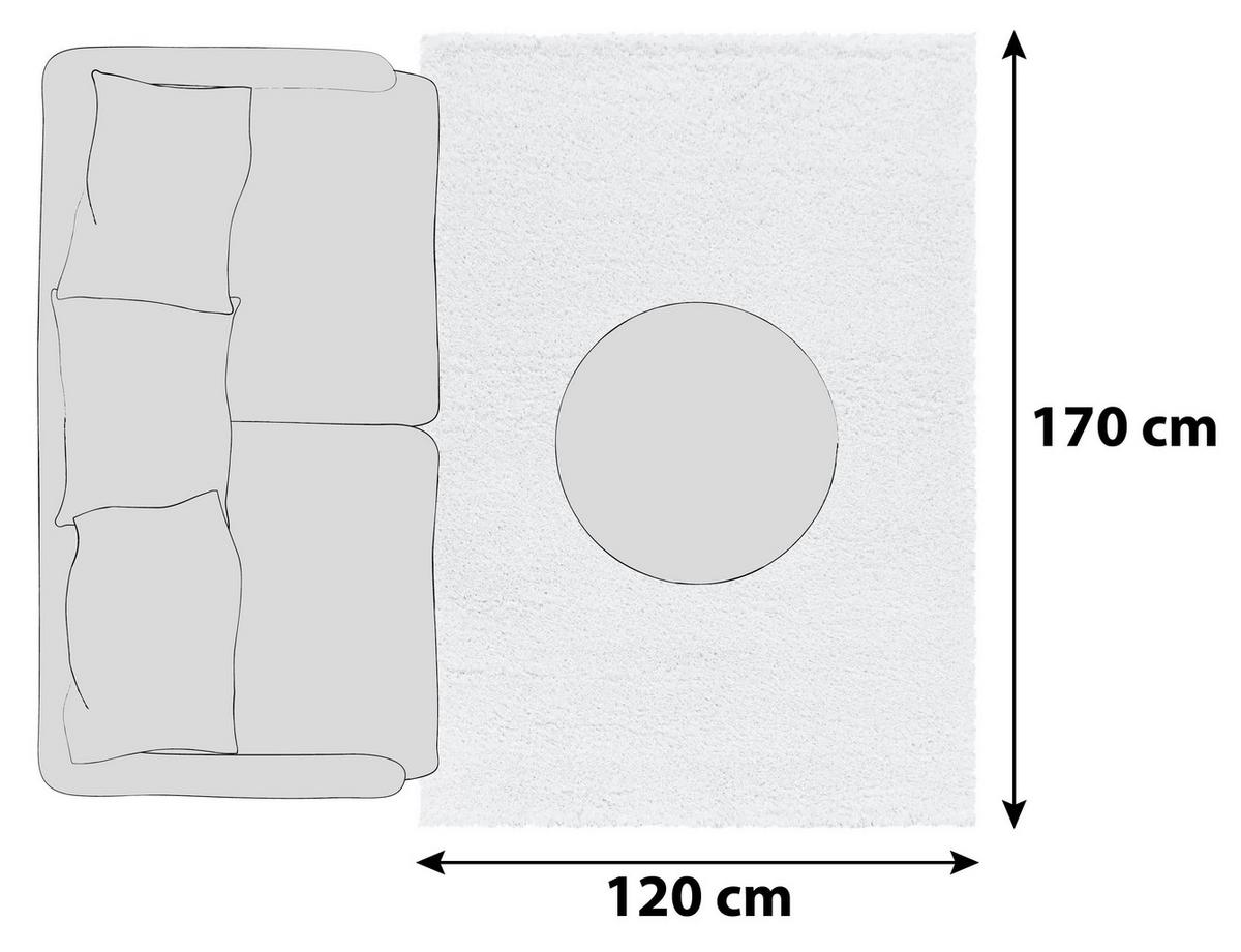 Hochflor Teppich Weiß Fluffy 120x170 cm - Weiß, Basics, Textil (120/170cm)