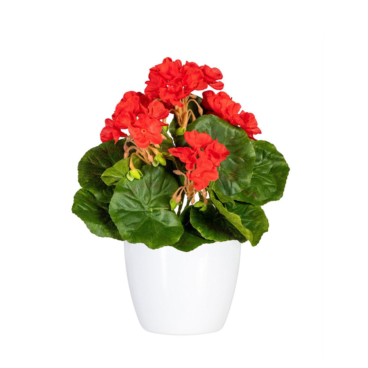 Kunstpflanze Blühpflanzen Rot/Grün/Weiß, 24 cm - Rot/Weiß, Design, Keramik/Kunststoff (24cm)