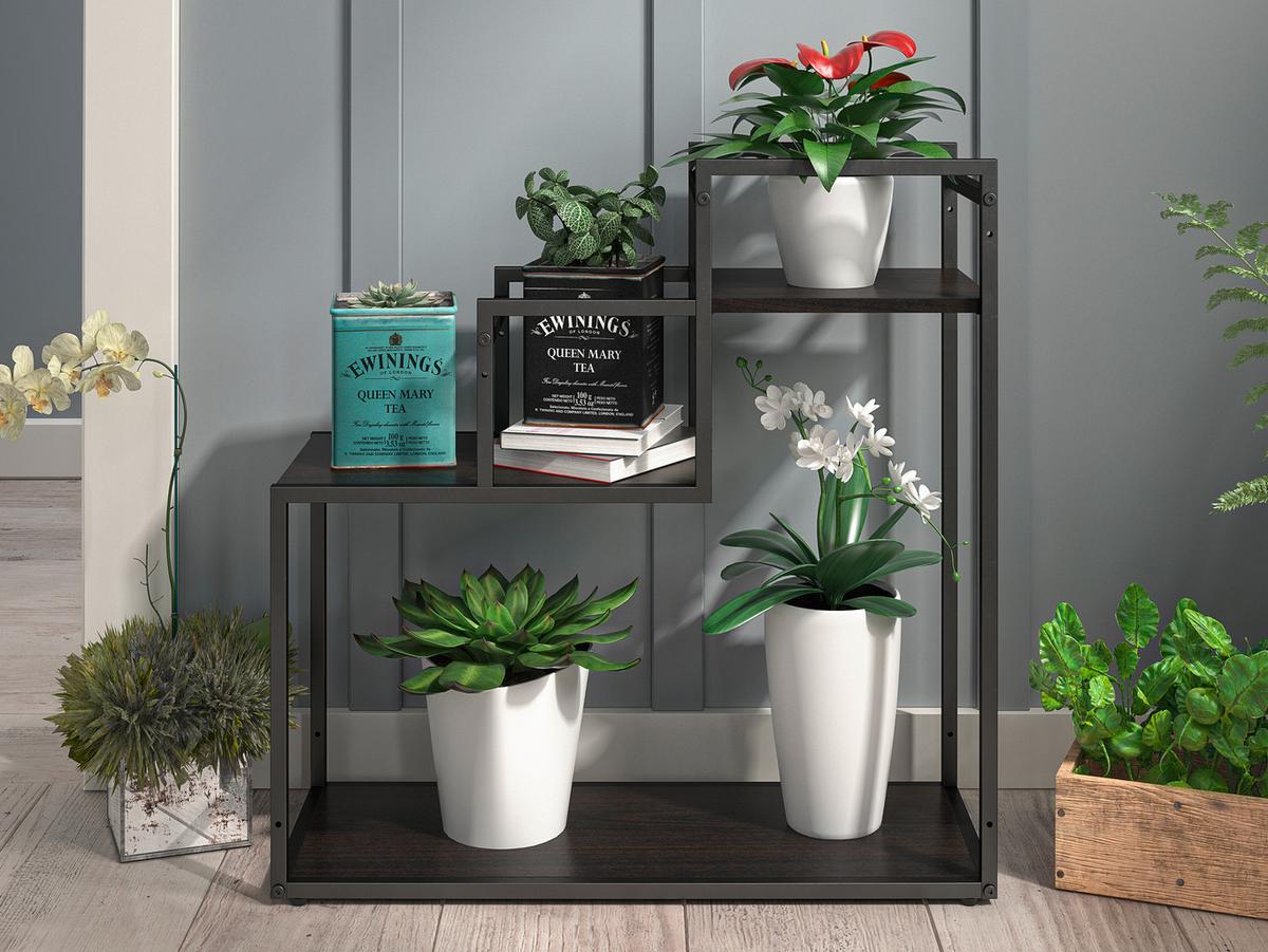 Blumenständer Weston Dunkelbraun B: 58 Cm - Dunkelbraun, Design, Metall (58/58/23cm) - MID.YOU